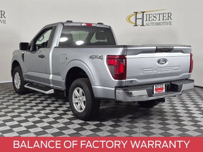 2025 Ford F-150 XL
