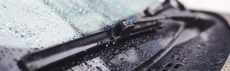 Windshield Replacement & Repairs